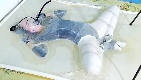 Frogtied In Transparent Vacbed